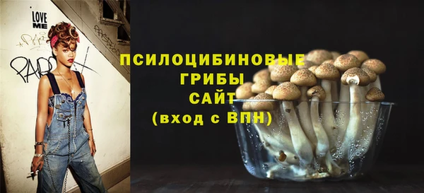 а пвп мука Алзамай