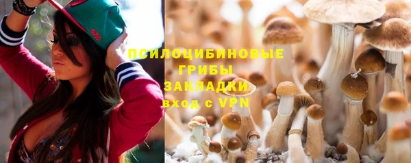 а пвп мука Алзамай