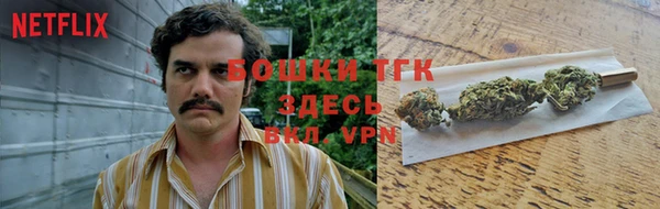 СК Алексин
